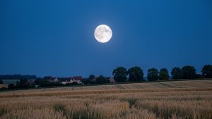 Une pleine lune lumineuse se lève au-dessus d’un paysage français estival sous un ciel bleu profond au crépuscule.